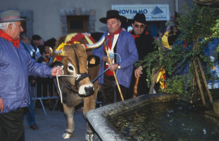 Fête des Tripettes de la Saint-Marcel. Barjols, 1998. Le bœuf à la fontaine.