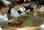 Fête des olives à Mouriès (Bouches-du-Rhône). Concours de cassage des olives.