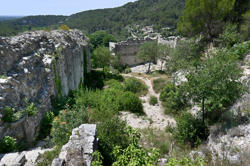 Ruines du château de l'Évêque envahies par la végétation. Fontaine de Vaucluse. Photo Serrge Panarotto.